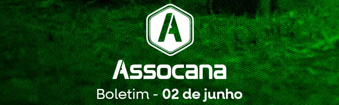 Boletim nº 11 - Assocana Junho 2025
