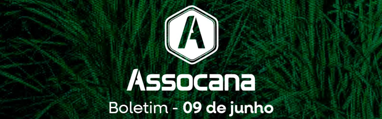 Boletim nº 12 - Assocana Junho 2025