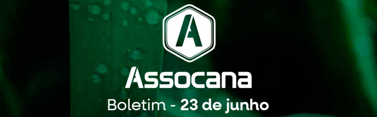 Boletim nº 14 - Assocana Junho 2025