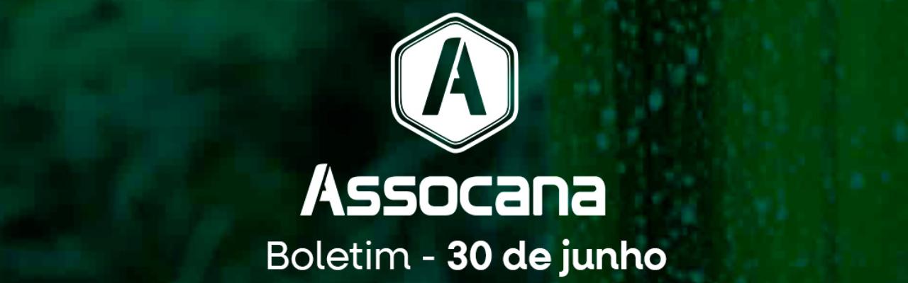 Boletim nº 15 - Assocana Junho 2025