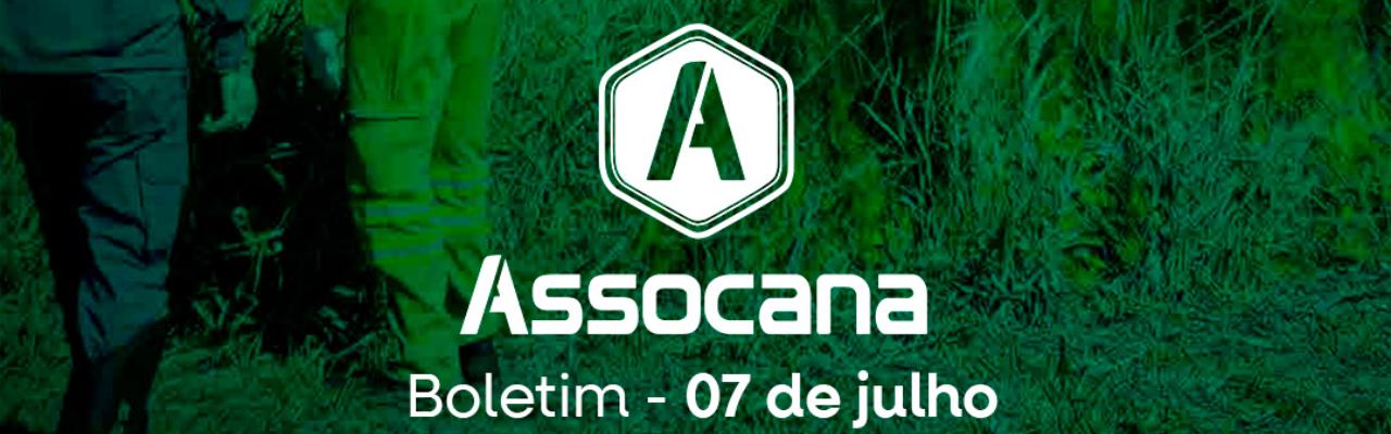 Boletim nº 16 - Assocana Julho 2025