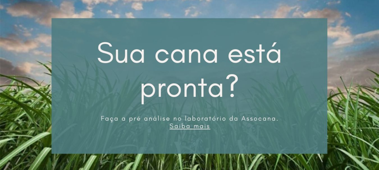 Sua cana está pronta?