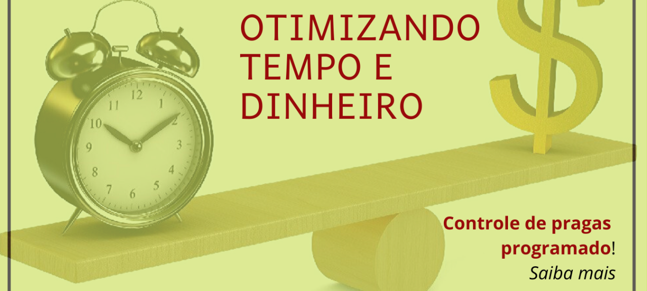 Otimizando Tempo e Dinheiro