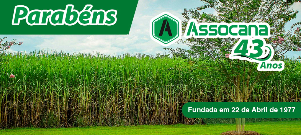 Assocana 43 Anos