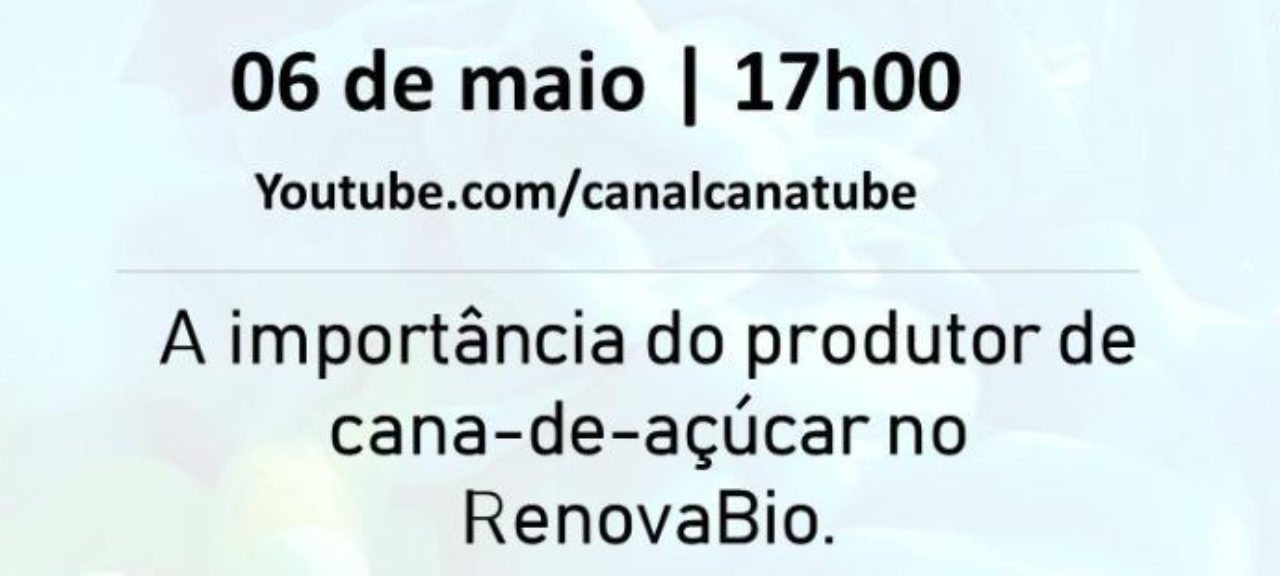 Live Cana Tube