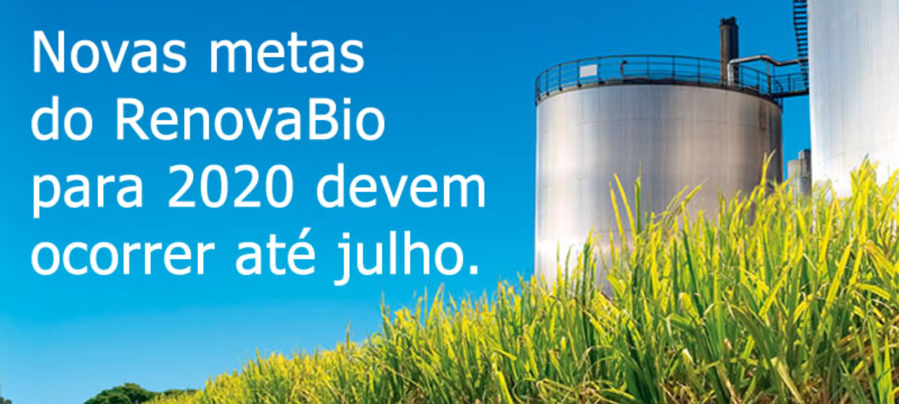 RenovaBio