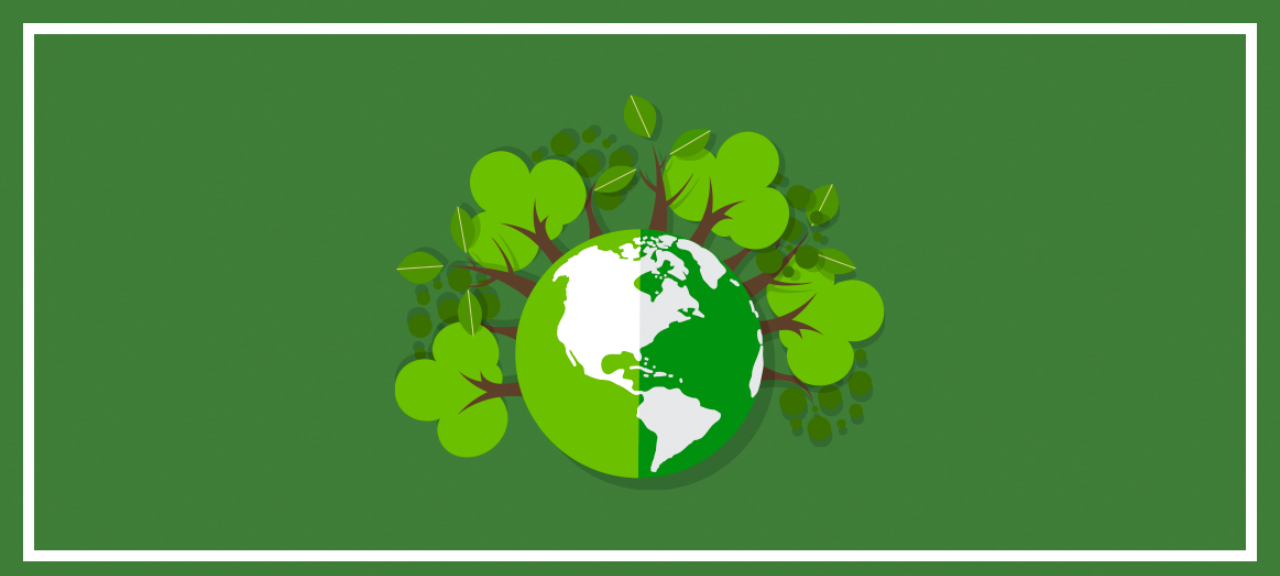 Dia Mundial do Meio Ambiente