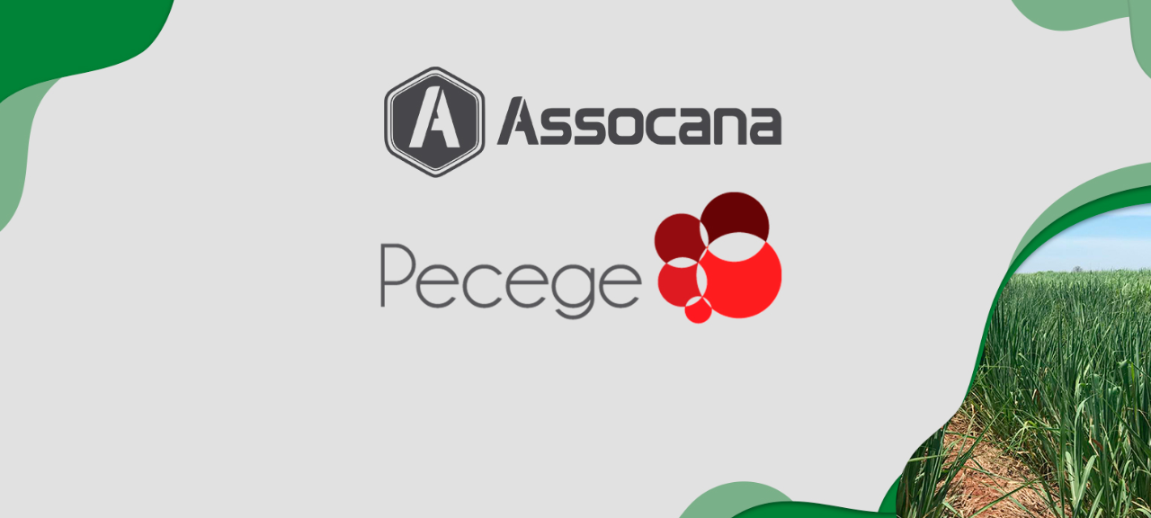 Parceria entre a Assocana e o Instituto Pecege