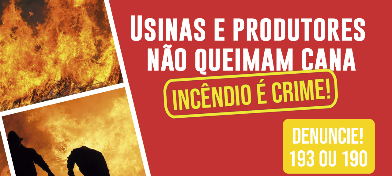 Adesivos serão distribuídos pela Assocana. Retire o seu!