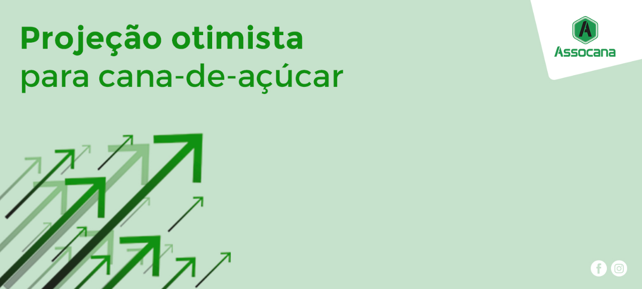 Projeção otimista para cana-de-açúcar