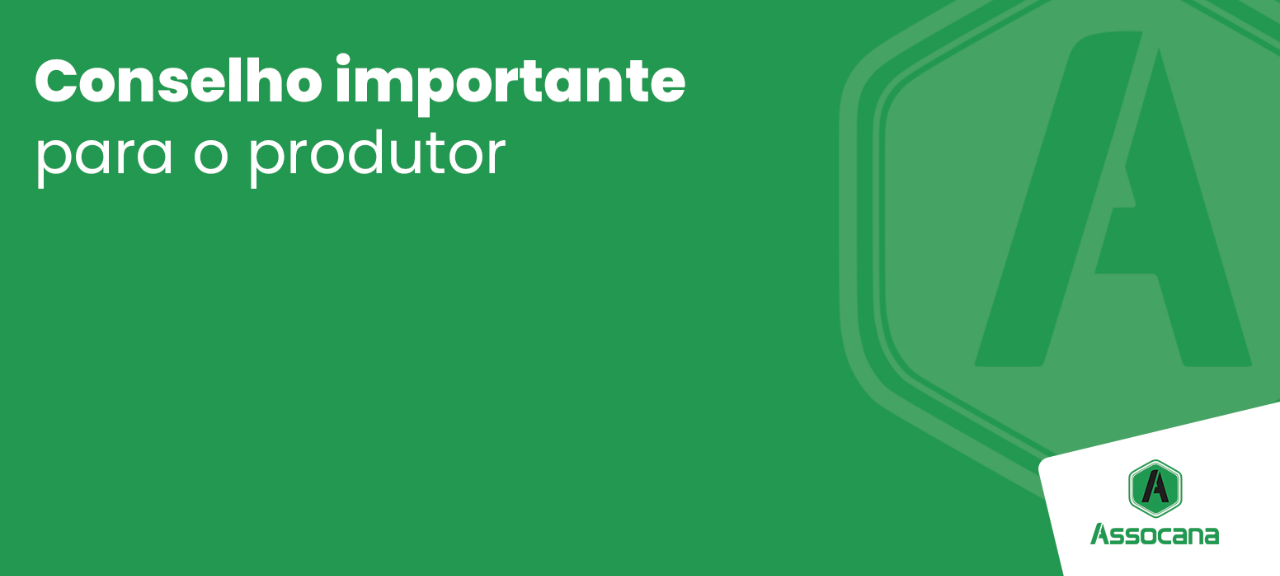 Conselho importante para o produtor