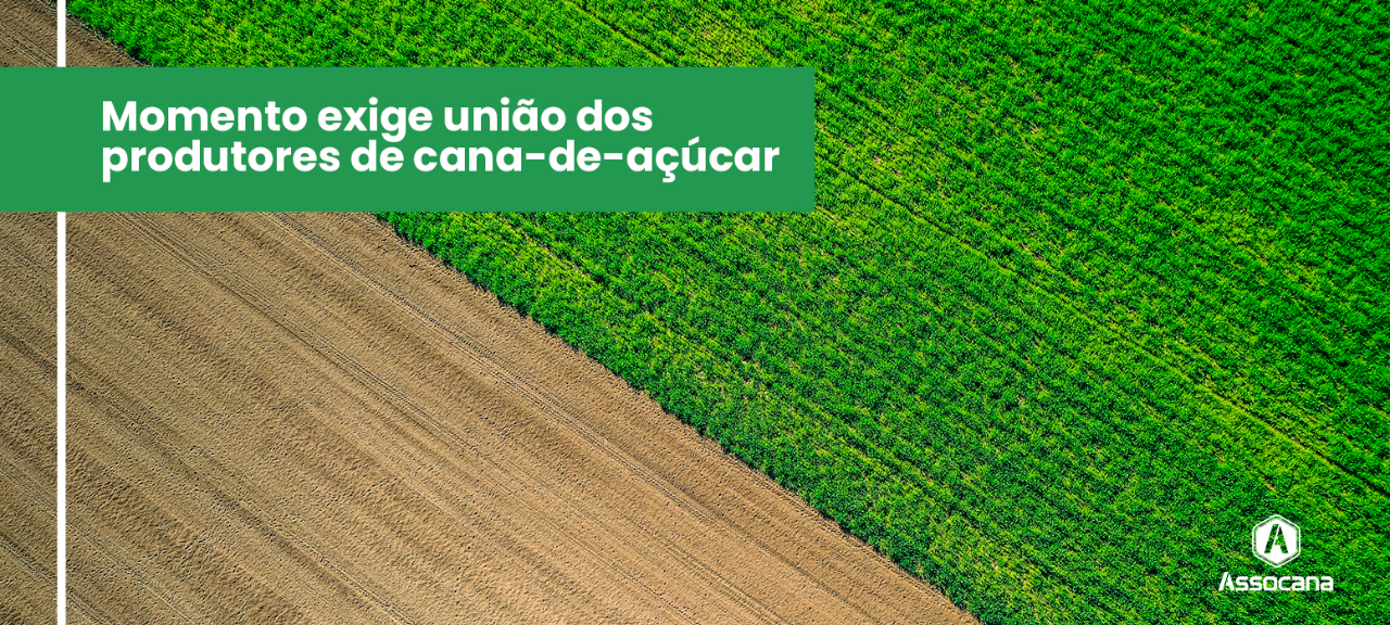 Momento exige união dos produtores de cana-de-açúcar