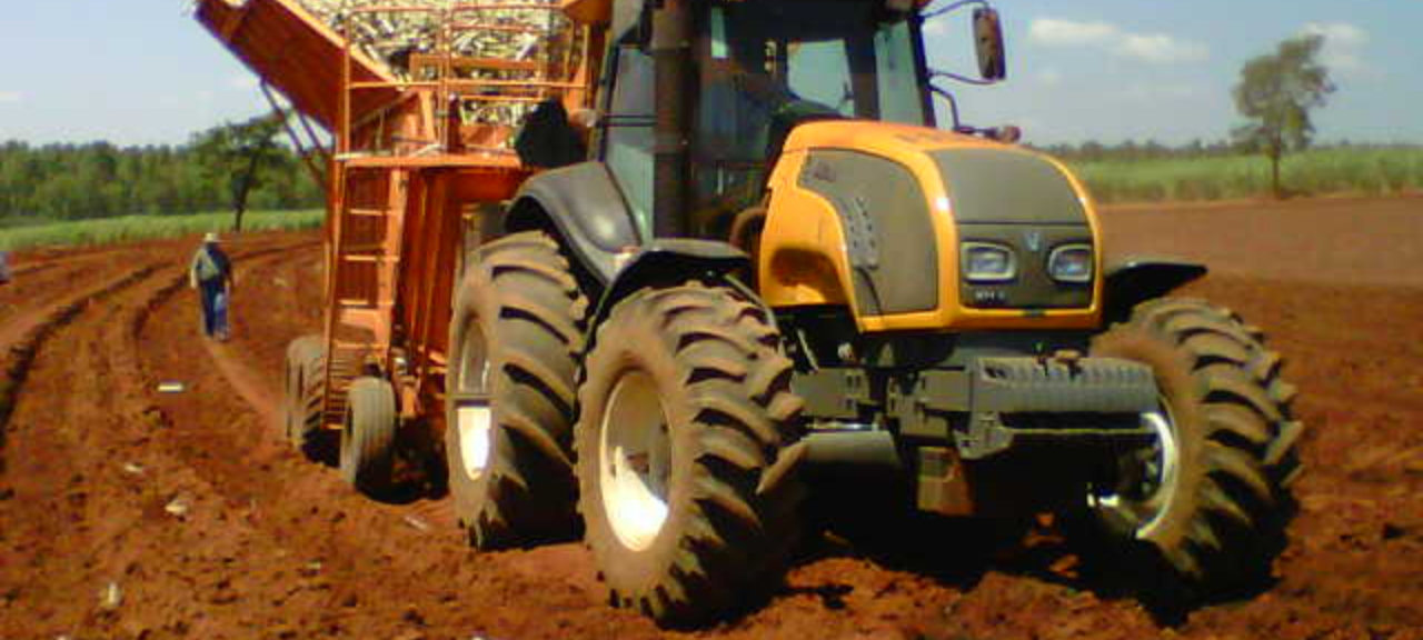 Maior parte do plantio ainda é manual