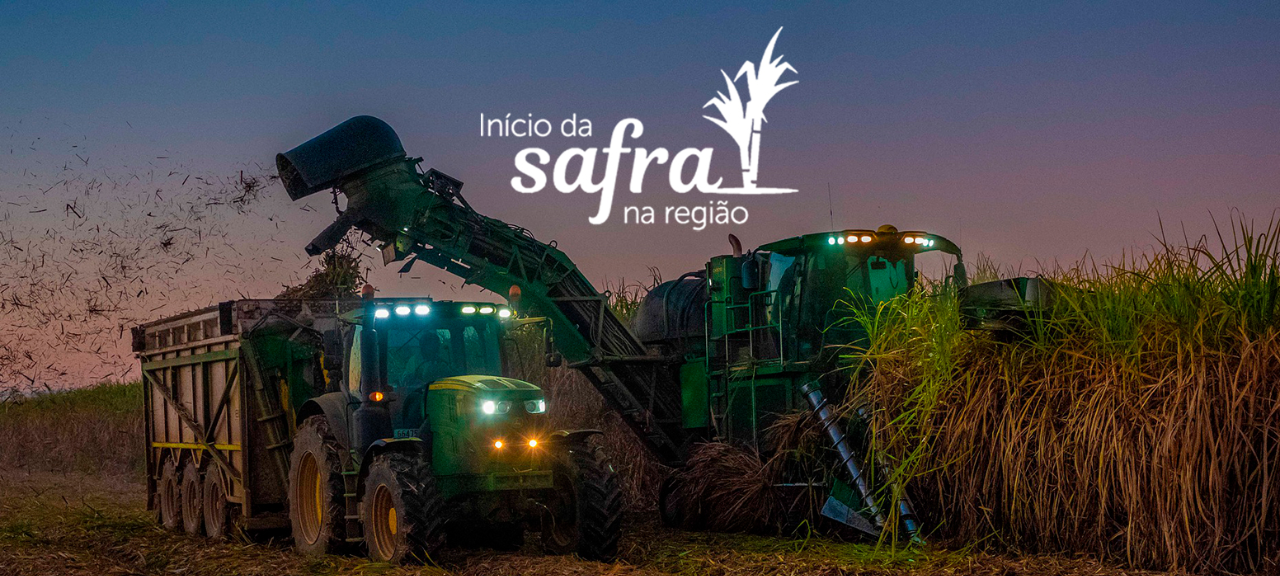 Início da safra na região