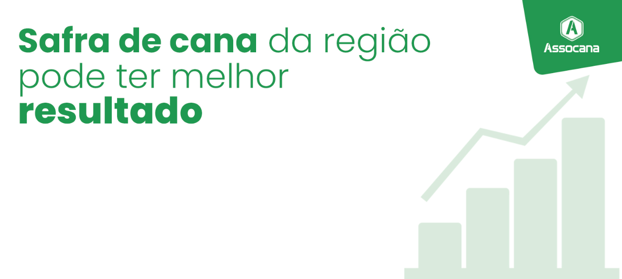 Safra de cana da região pode ter melhor resultado