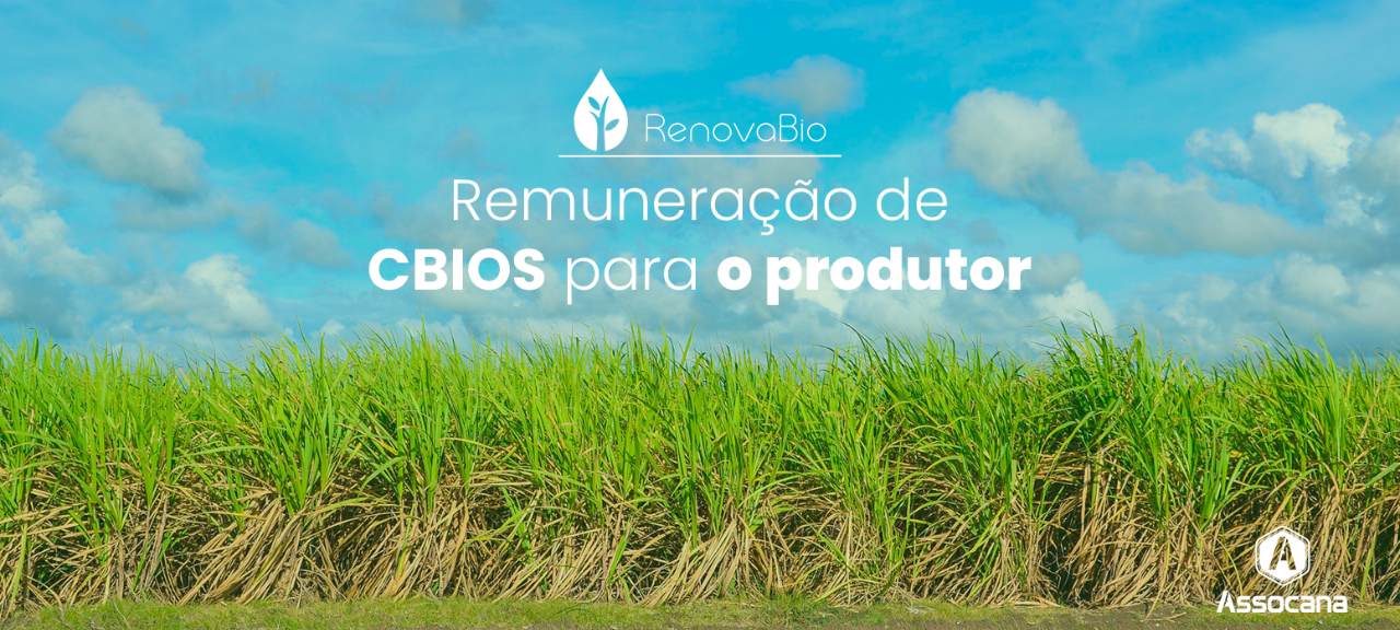 Remuneração de CBIOS para o produtor