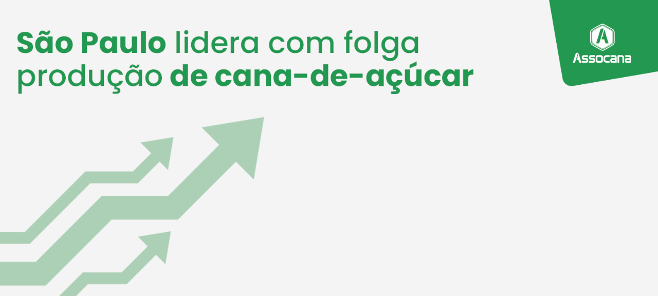 São Paulo lidera com folga produção de cana-de-açúcar