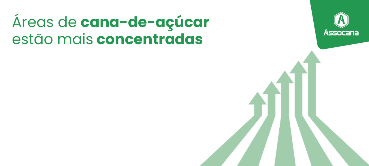 Áreas de cana-de-açúcar estão mais concentradas