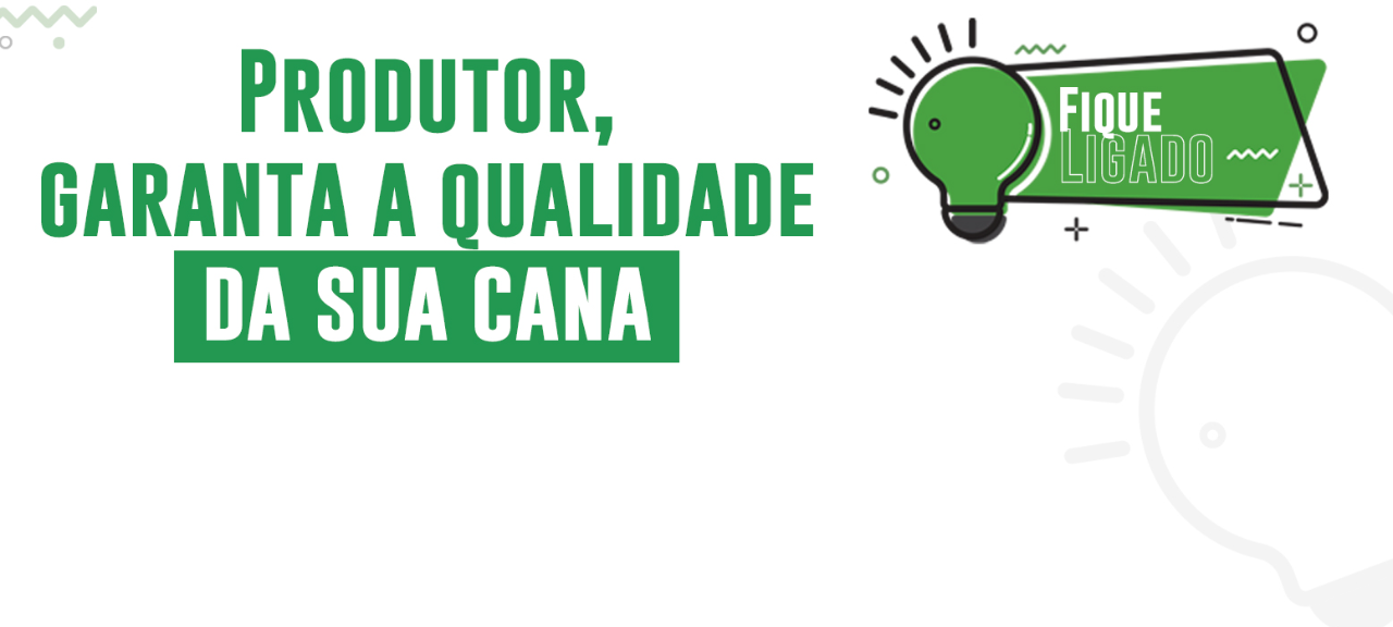 Produtor, garanta a qualidade da sua cana
