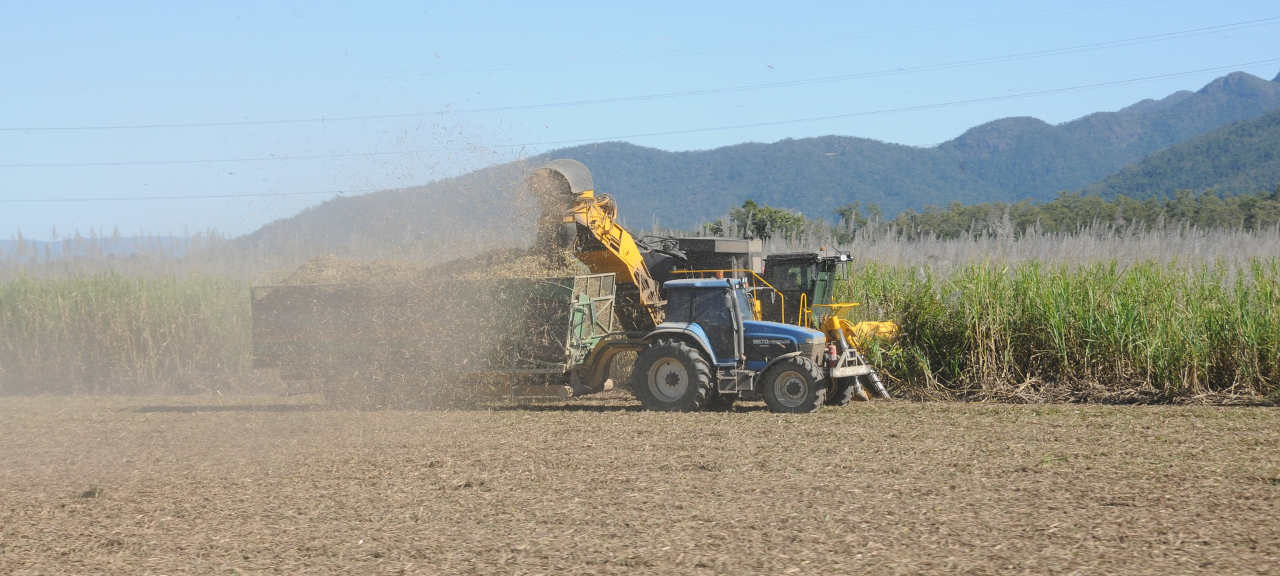 Agricultores que têm contrato de parceria com a NovAmérica receberão bonificação