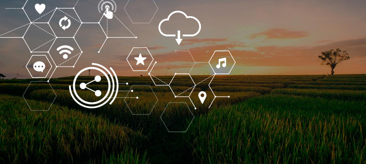 Parceria contribui com evolução da agricultura digital