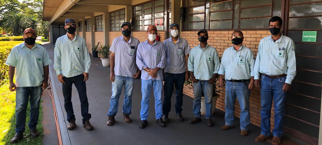 Equipe que controla pragas volta amanhã