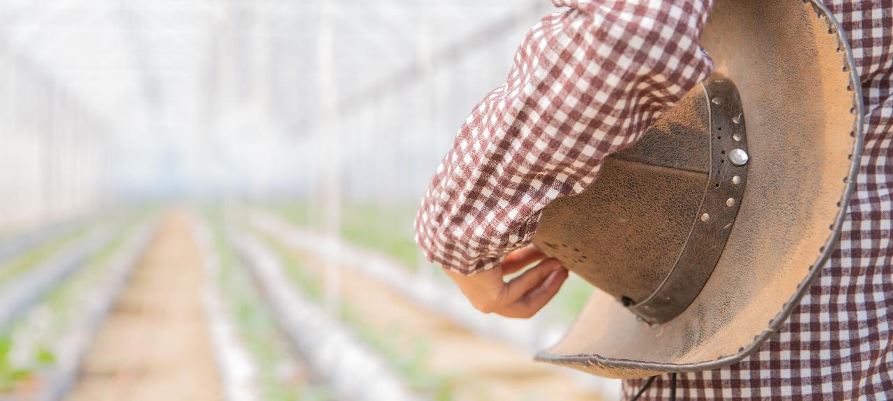 Vida de produtor