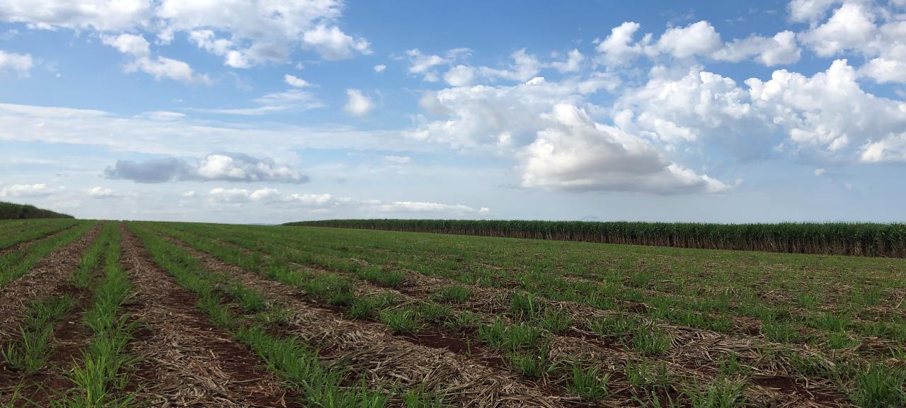 Os desafios naturais do Agro