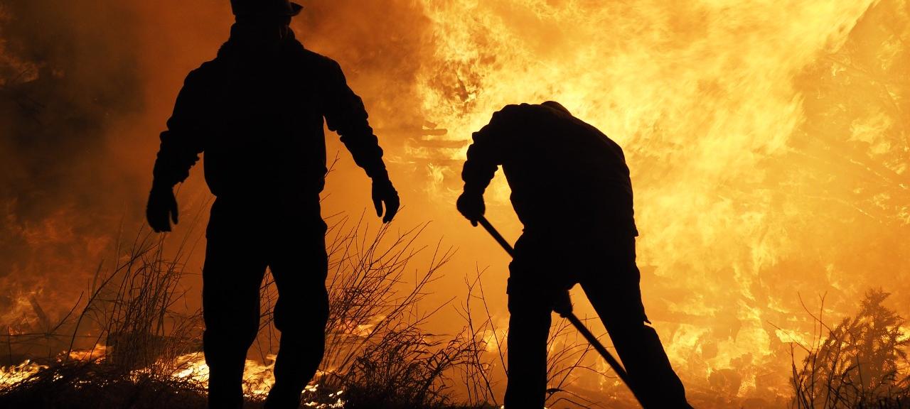 Incêndio: bom motivo para controlar as plantas daninhas