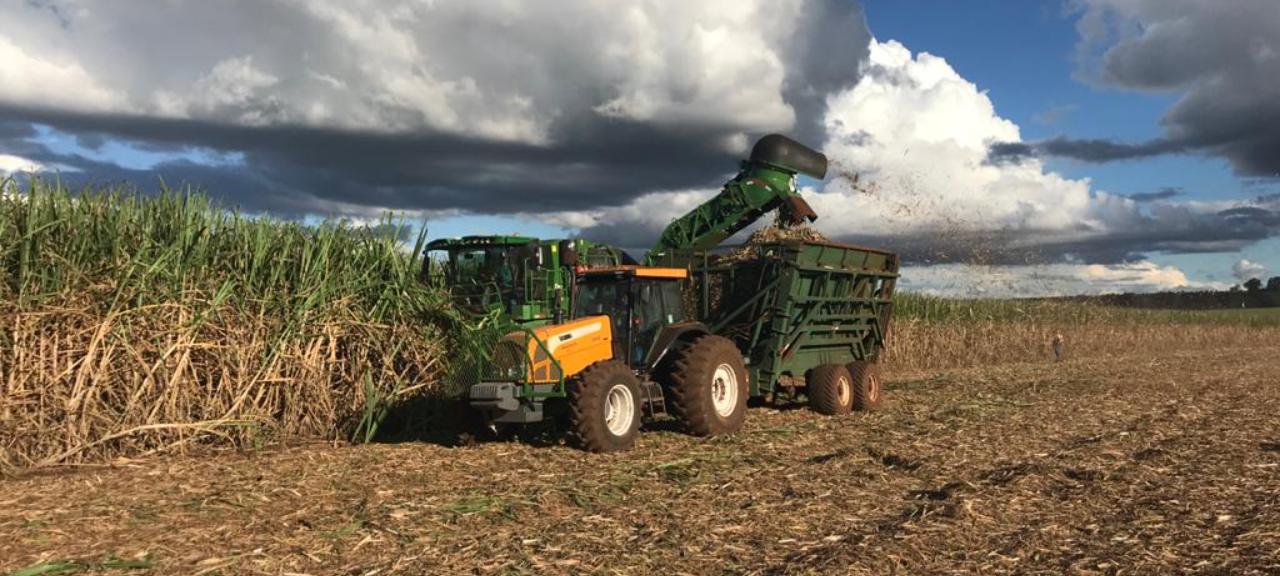 Trabalho no campo oferece grandes desafios