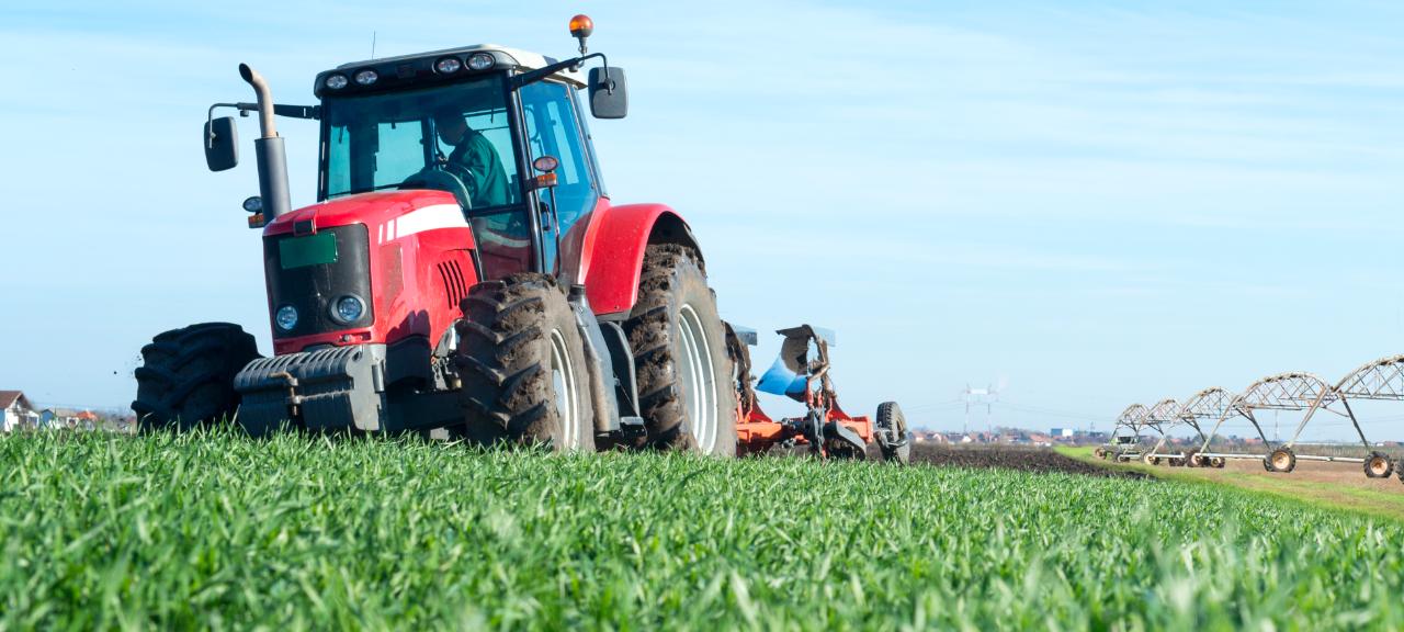 Como brasileiro enxerga o Agronegócio