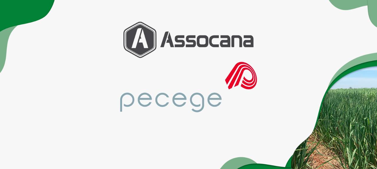 Assocana e Pecege Juntos