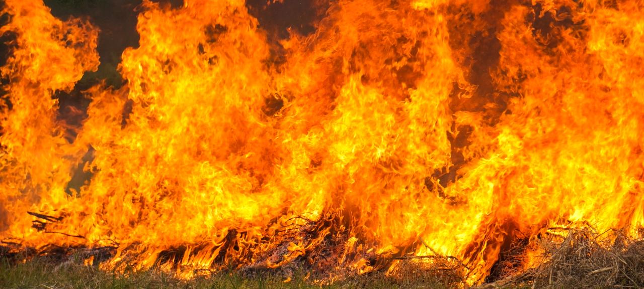 Grande parte dos incêndios está associada à ação inadequada de algumas pessoas