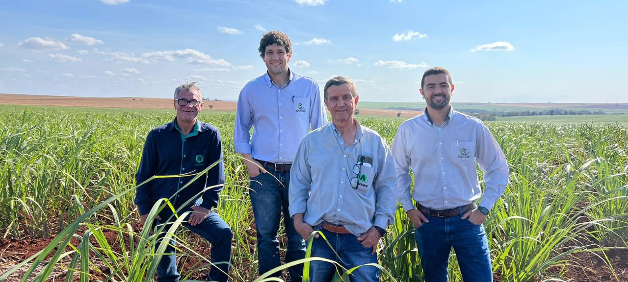 Monitoramento das variedades RB plantadas na região