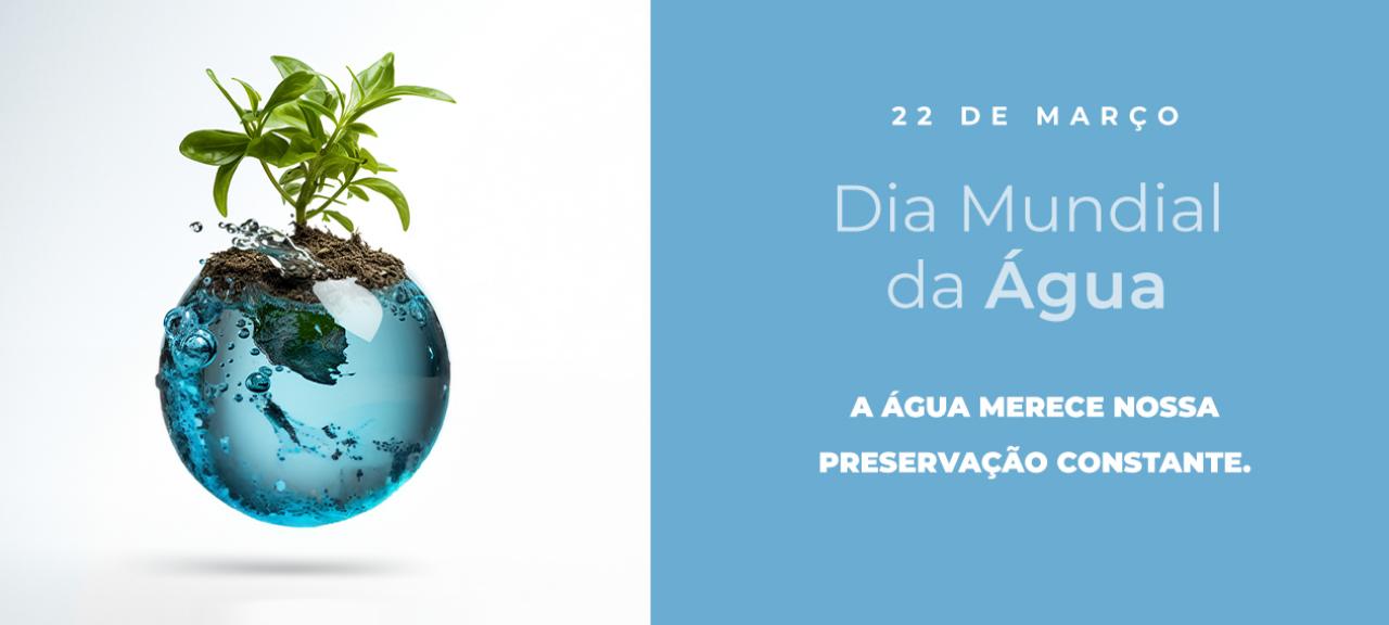 A água é essencial para a produção de cana-de-açúcar, uma cultura fundamental para muitas regiões.
