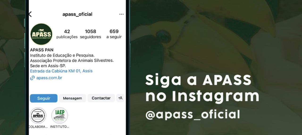 Siga a APASS no Instagram