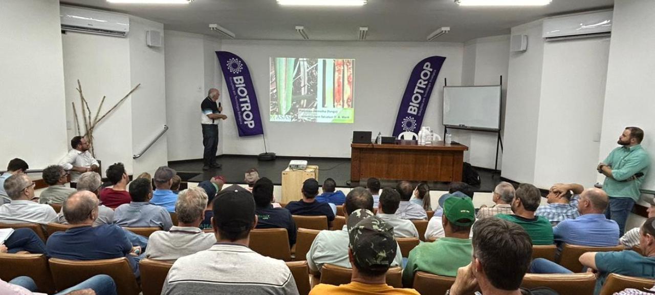 Desmistificando as doenças da cana-de-açúcar