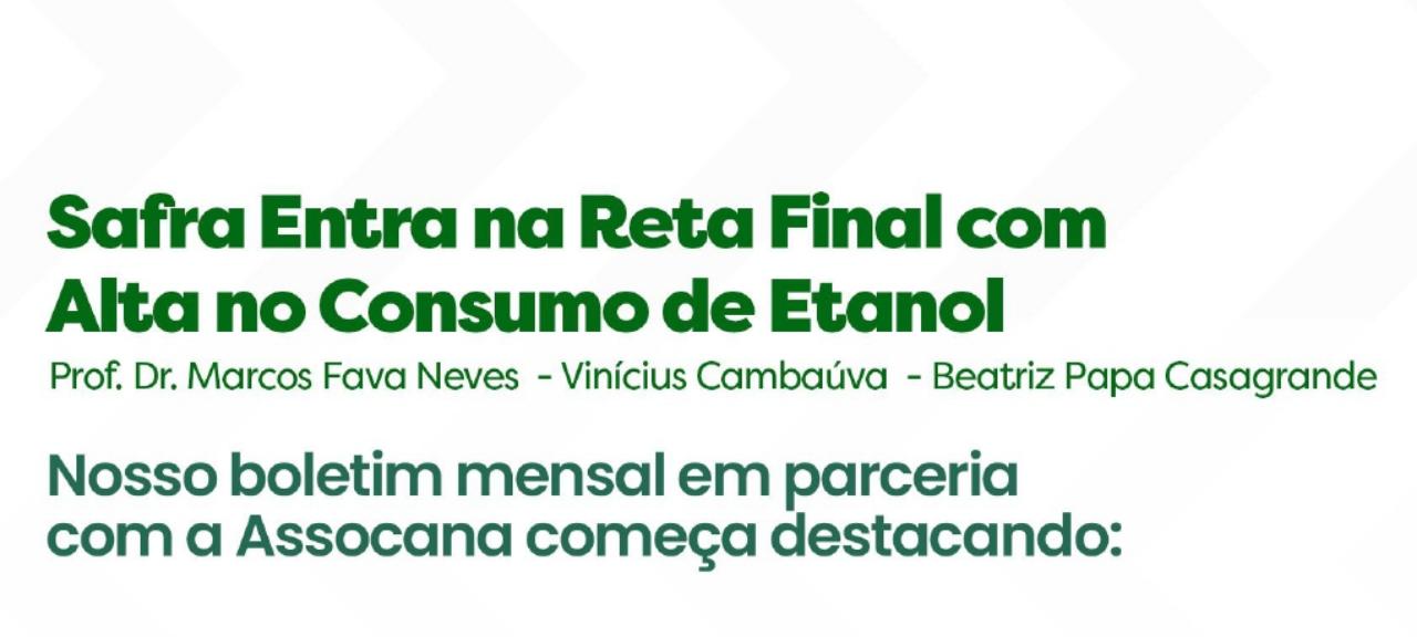 Safra entra na reta final com alta no consumo de etanol