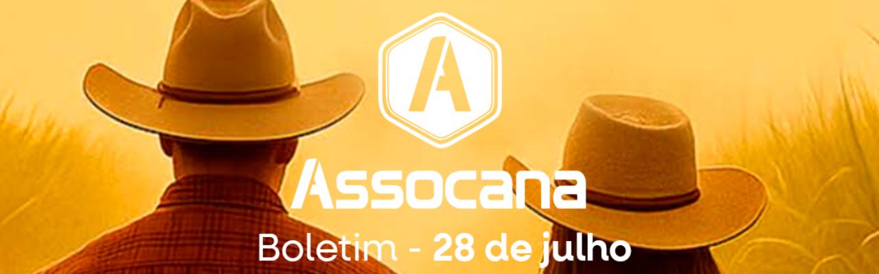 Boletim nº 19 - Assocana Julho 2025