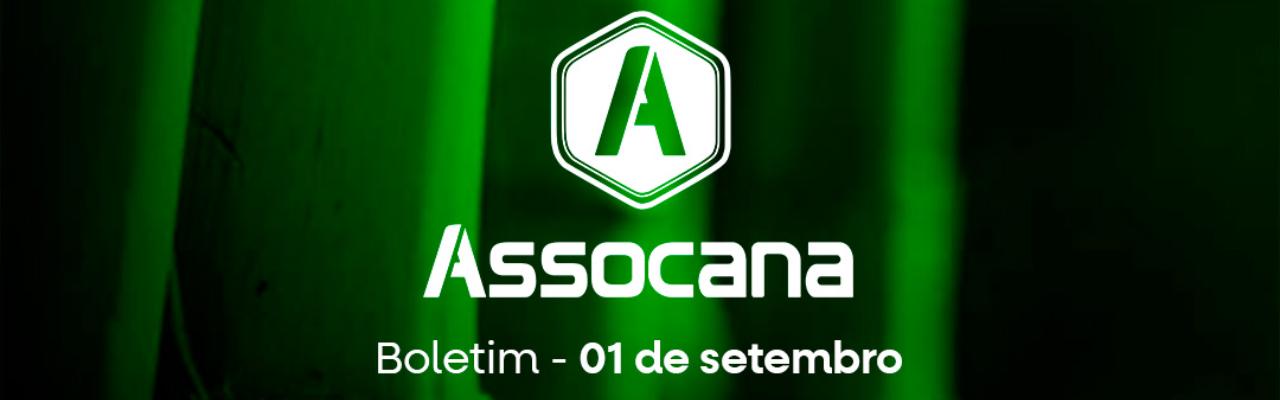 Boletim nº 24 - Assocana Setembro 2025