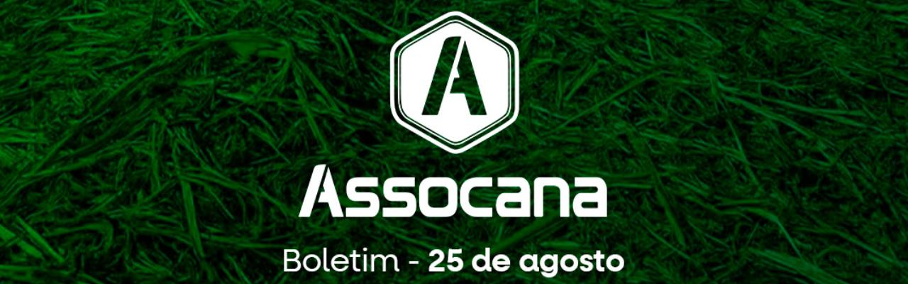 Boletim nº 23 - Assocana Agosto 2025