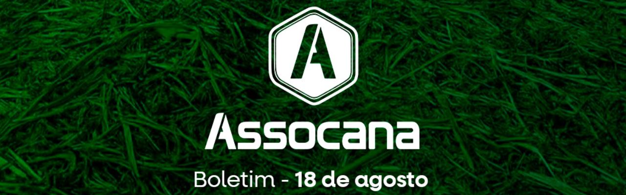 Boletim nº 22 - Assocana Agosto 2025
