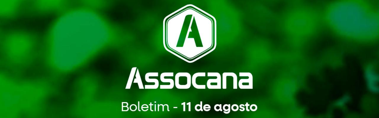 Boletim nº 21 - Assocana Agosto 2025