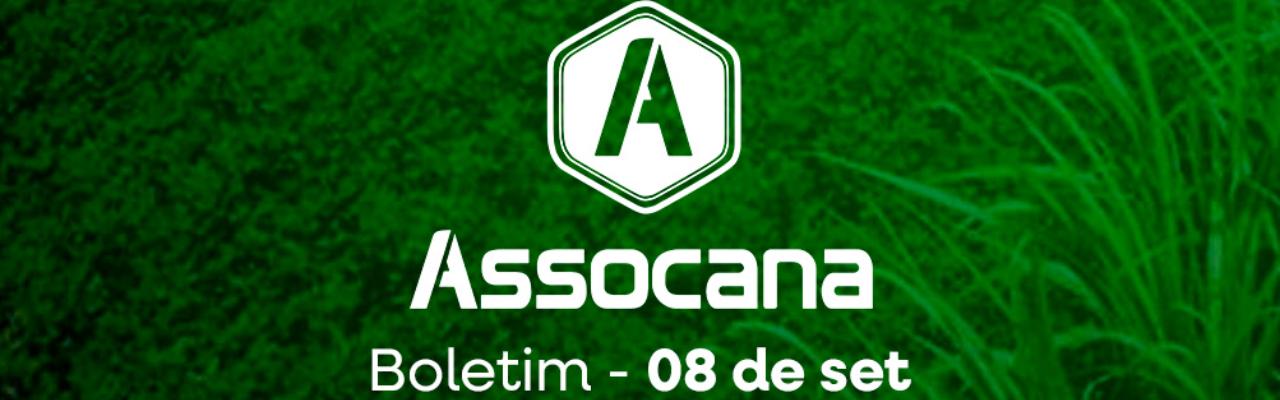 Boletim nº 25 - Assocana Setembro 2025