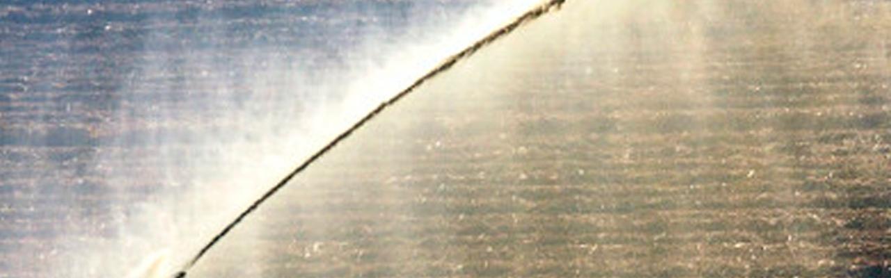 Vinhaça: aliada dos produtores na nutrição e umidade do solo