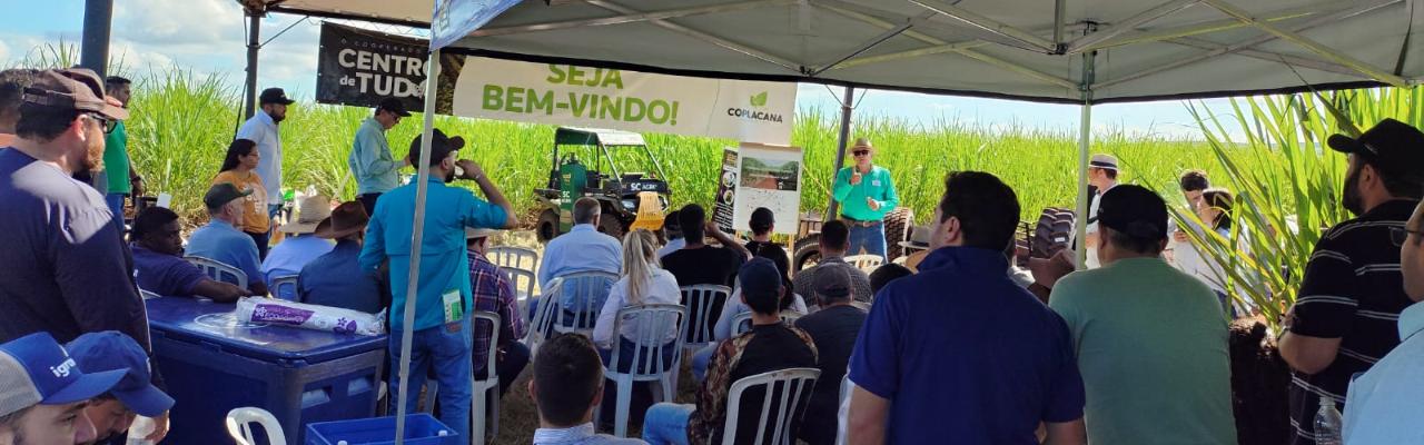 Assocana presente no Dia de Campo Varietal em Bernardino de Campos